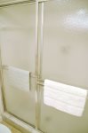 Guest Bathroom Walk-in Shower